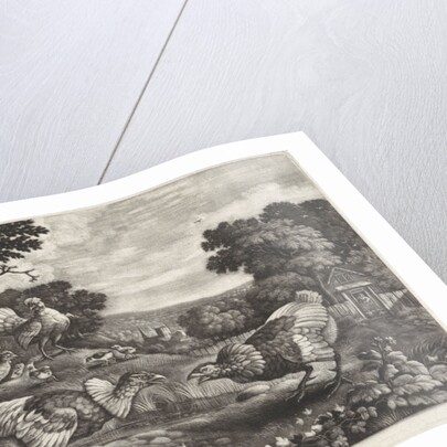 Fighting chickens by Pierce Tempest