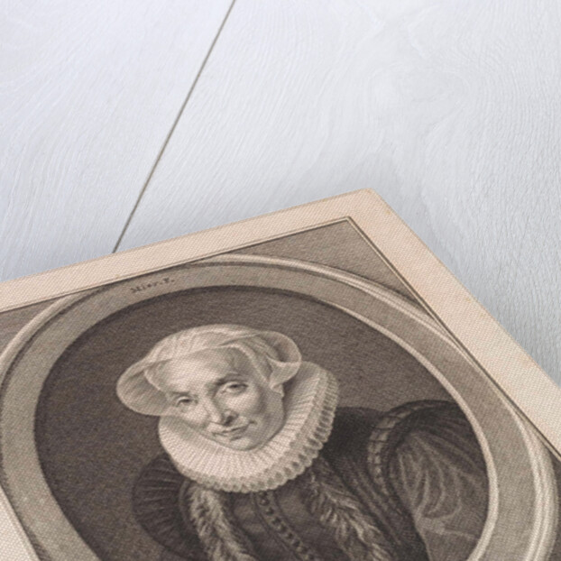 Portrait of Mary of Utrecht by Albert van der Kroe