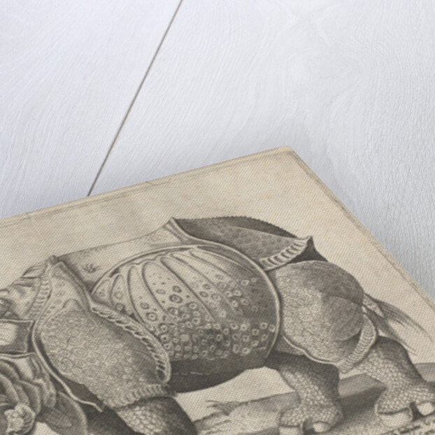 The Rhinoceros, Enea Vico by Albrecht Dürer