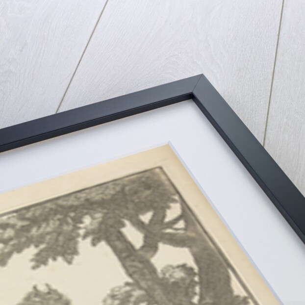 Portrait of Clara Juliana, Countess of Nassau-Siegen by Anonymous