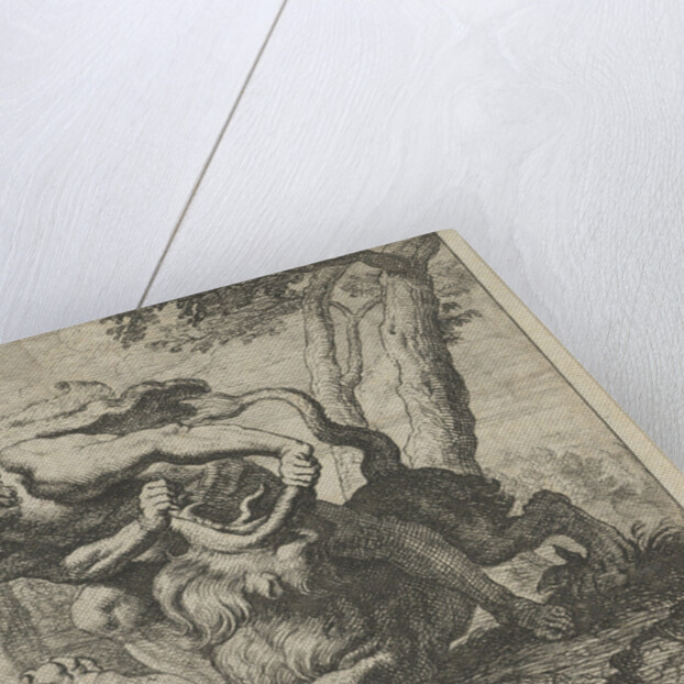 Samson and the lion by Erasmus Quellinus II