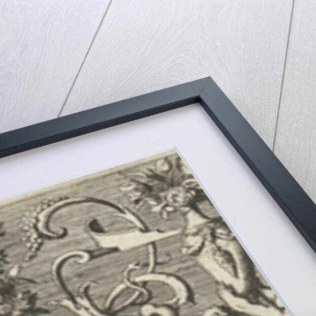 Smell by Robert Walton