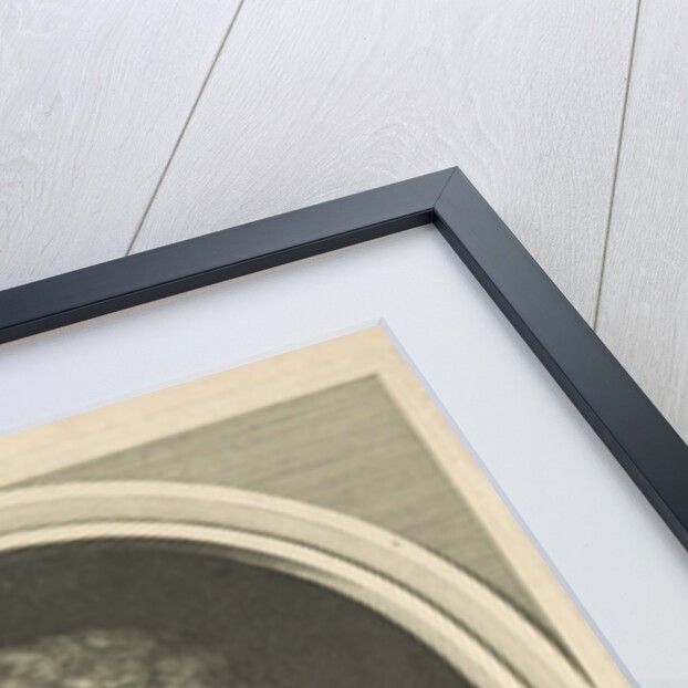 Portrait of Johan Henrik Thim by Abraham Bloteling