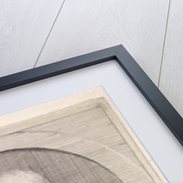 Portrait of Jan van Os by Aert Schouman