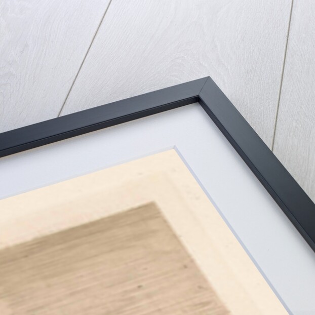 Munt Tower in Amsterdam by Frans Schikkinger