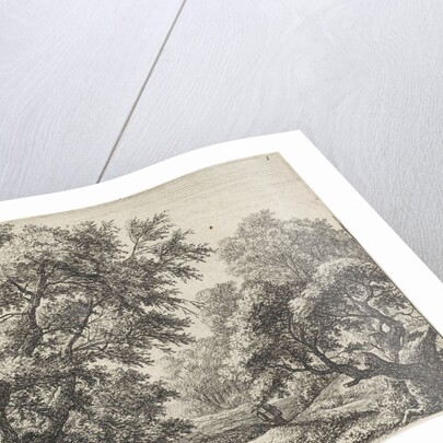 Peddler on a forest path by Anthonie Waterloo