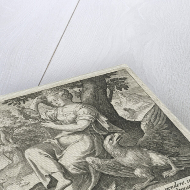 Sight by Nicolaes de Bruyn