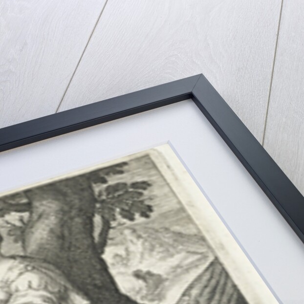 Sight by Nicolaes de Bruyn