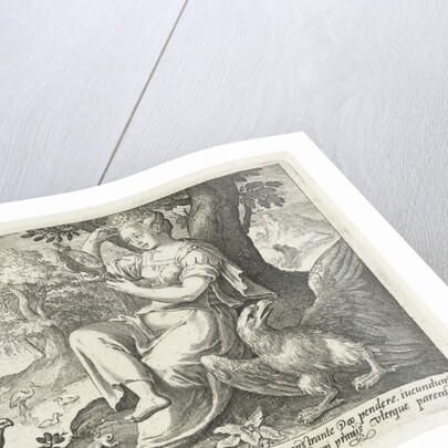 Sight by Nicolaes de Bruyn