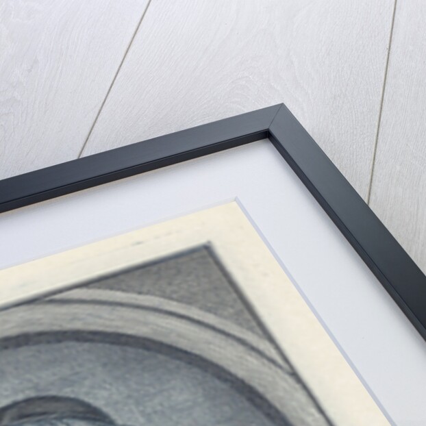 Portrait of Johan de Knuyt by Isaak Tirion