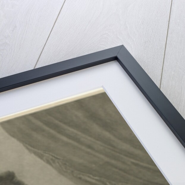 Portrait of Frederick, Prince of the Netherlands by Harmanus Langerveld