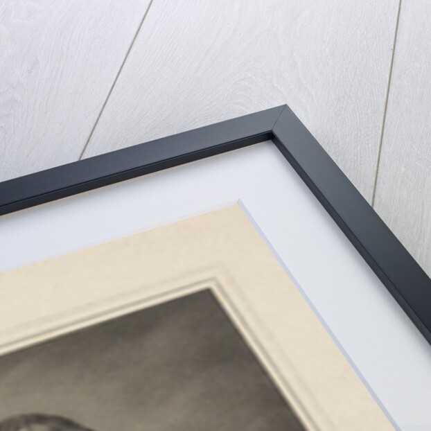 Portrait of Willem I Frederik, King of the Netherlands by Johannes Philippus Lange