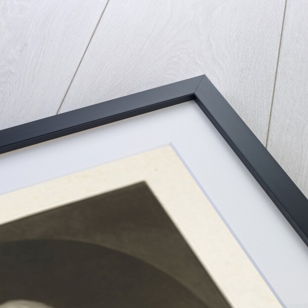 Portrait of William V, Prince of Orange-Nassau by A. Milne