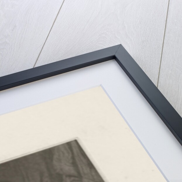 Portrait of William I, Prince of Orange by Koenraad Fuhri