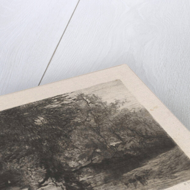 Trees along the water by Willem Steelink I