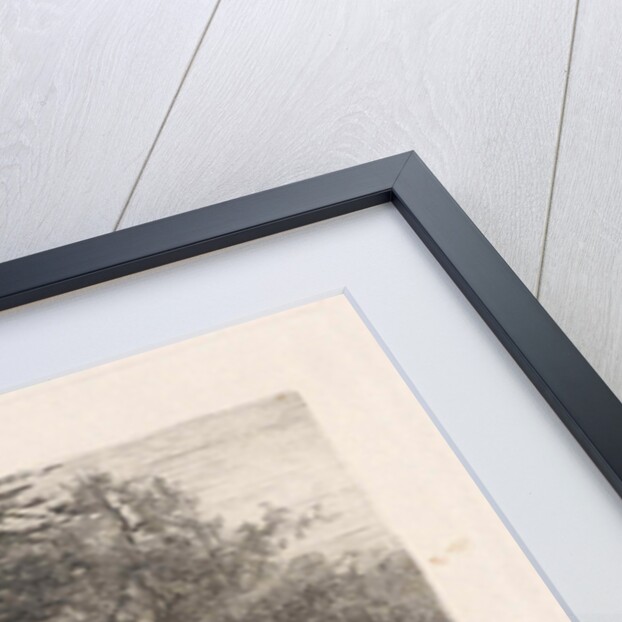 Trees along the water by Willem Steelink I