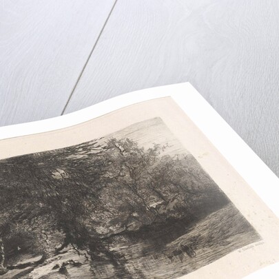 Trees along the water by Willem Steelink I