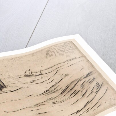 Flushing, Vlissingen by Carel Nicolaas Storm van 's-Gravesande