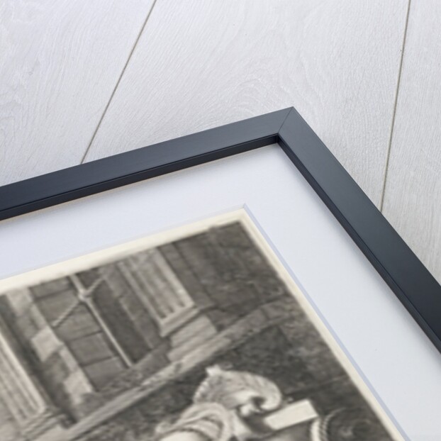 Allegory of marriage by Theodorus Schrevelius