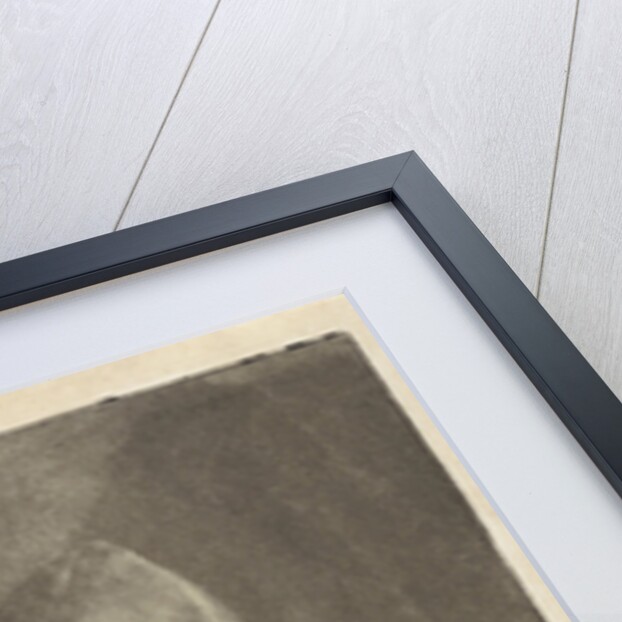 Taste by Pieter Pickaert