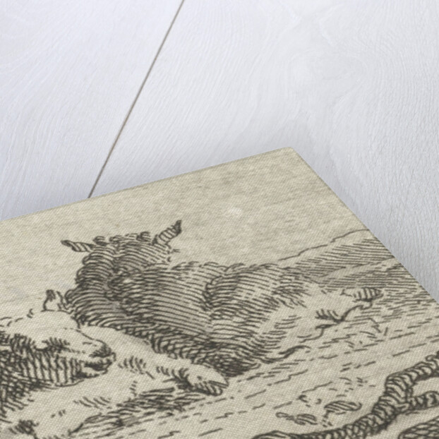 Two reclining sheep by Jan van der Meer II