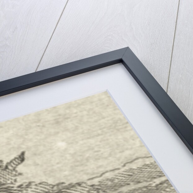 Two reclining sheep by Jan van der Meer II