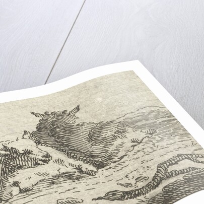 Two reclining sheep by Jan van der Meer II