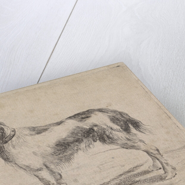 Standing dog by Jacob Toorenvliet