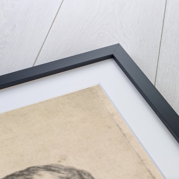 Standing dog by Jacob Toorenvliet