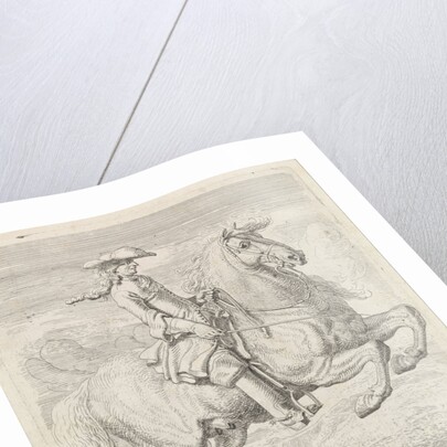 Rider lets his horse rearing by Dirk Maas