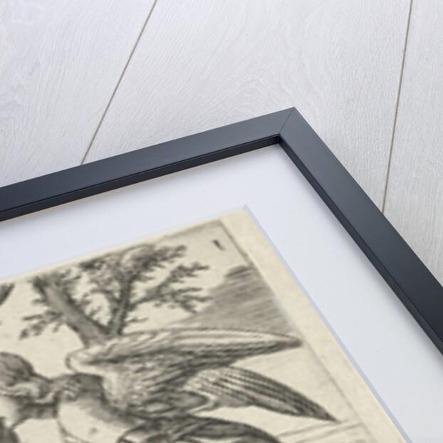 Prediction of Samson's birth by Cornelis Massijs