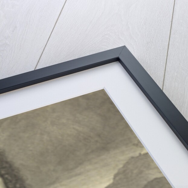 Portrait of William III, Prince of Orange by Pieter van Gunst