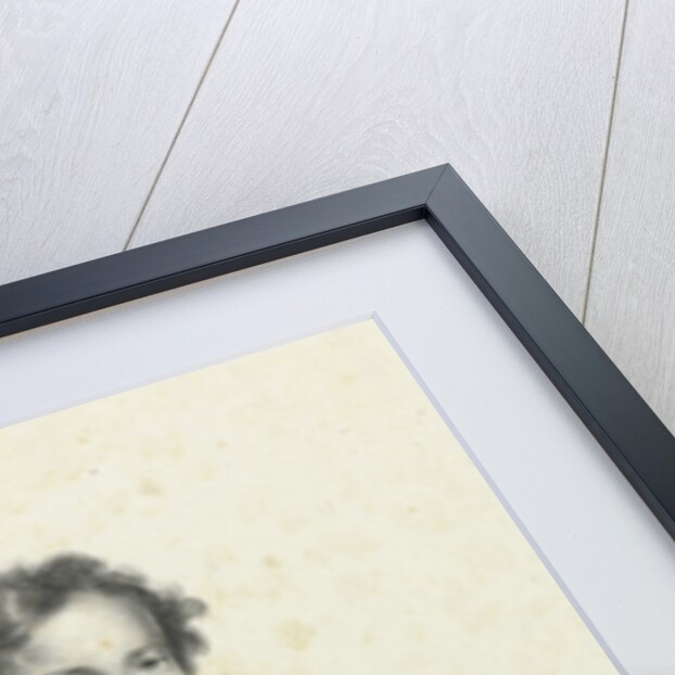 Portrait of Frederick, Prince of the Netherlands by Hilmar Johannes Backer