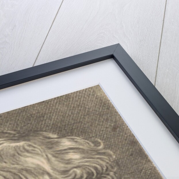 Portrait of Hubrecht van den Eynde by Lucas Vorsterman I