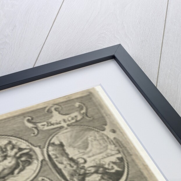 Title page for: Het seste deel vande Tragische oft klaechlijcke historien by Cornelis Lodewijcksz. van der Plasse