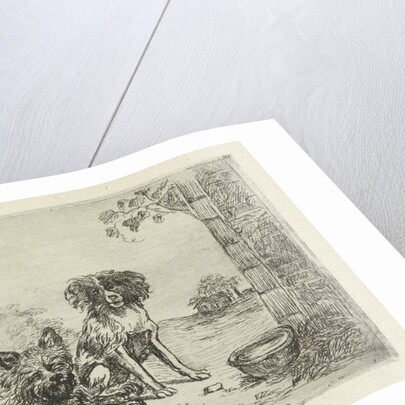 Two dogs by David van der Kellen II