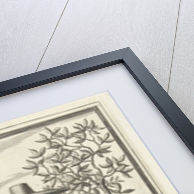 Milkmaid from Waterland by Jaques Le Moine de l’Espine