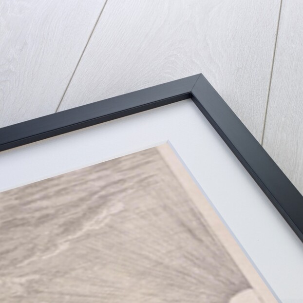 Swineherd by Herman Saftleven