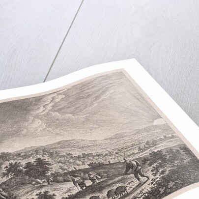 Swineherd by Herman Saftleven