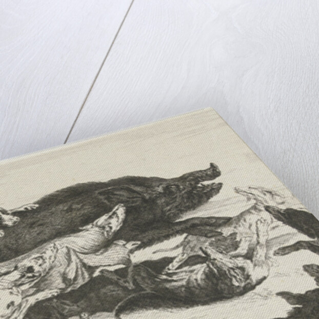 Dogs hunt a boar by Peeter Boel