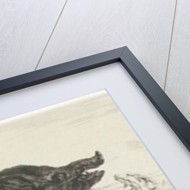 Dogs hunt a boar by Peeter Boel