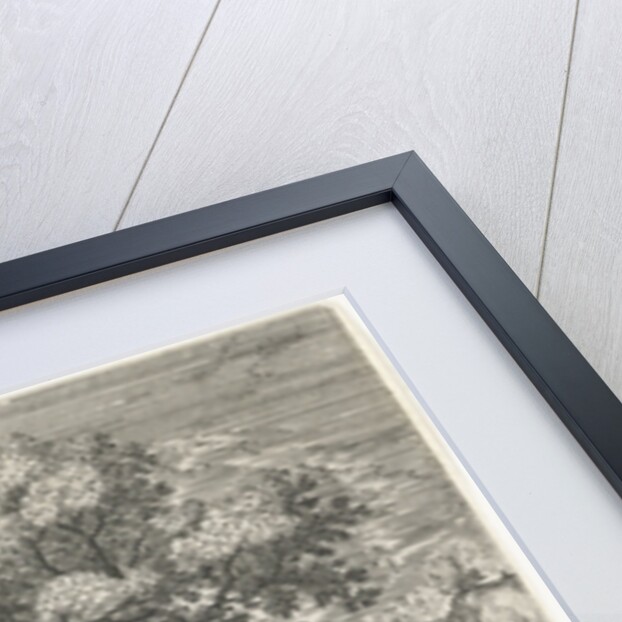 A hermit who in the company of a bird lives on a small island, has a vision by Hans Bol