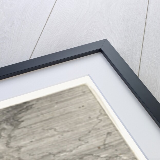 Encounter by Anonymous