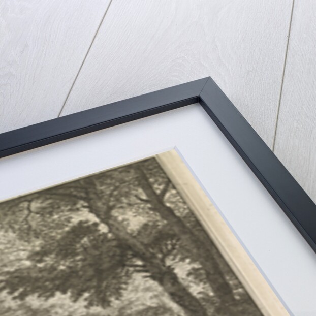 Covered path given to the input / View of the park / Duck pond / Large pond by Isaac de Moucheron