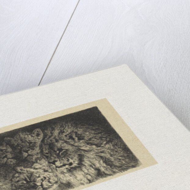 Lion and lioness by Frederik Willem Zürcher