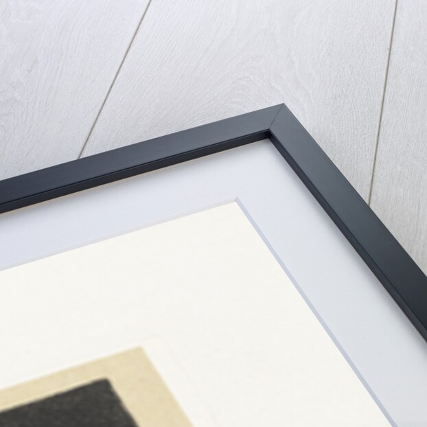 Lion and lioness by Frederik Willem Zürcher