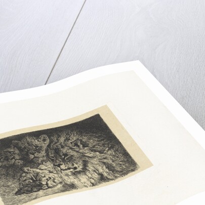 Lion and lioness by Frederik Willem Zürcher