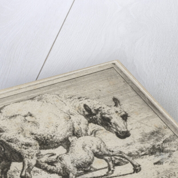 Ewe with two lambs by Adriaen van de Velde