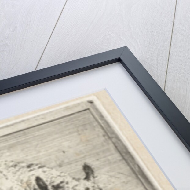 Ewe with two lambs by Adriaen van de Velde