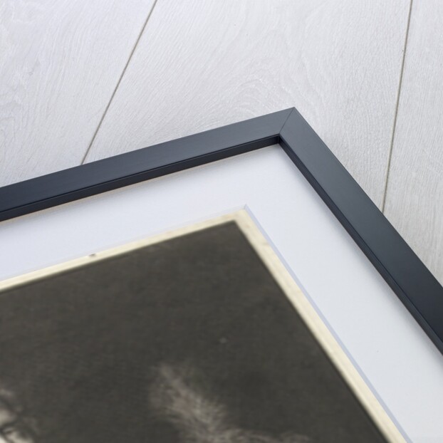 Portrait of Maurits, Prince of Orange by Philips Jacobsz van Steenwegen